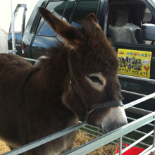 Fishers Mobile Farm @ Bromley Cross Summer Fayre, Bolton
